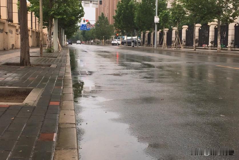 湖南长沙，3名上海收藏艺术家来旅游，突遇暴雨，避雨时不小心闯进一家高档酒店，碰巧