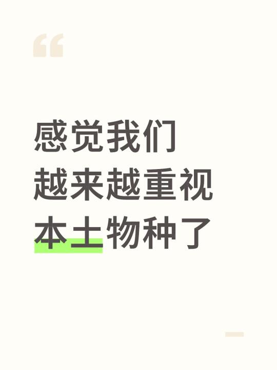 超级喜欢土松