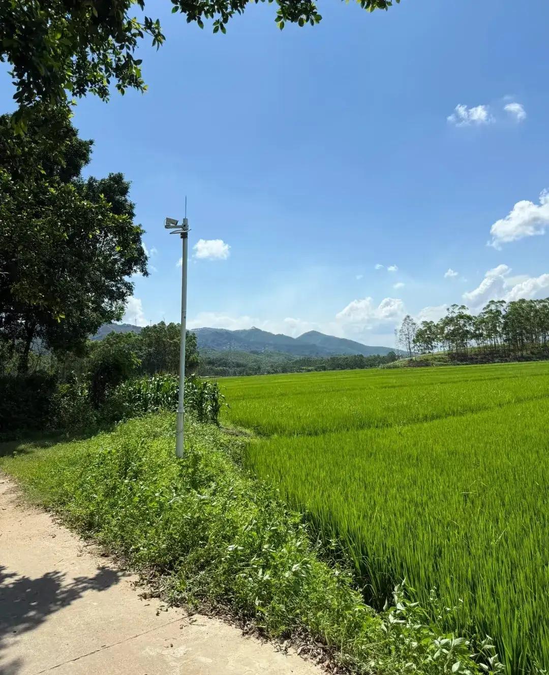 有钱人在农村活得舒适，没钱就得去城市拼搏。还有一种是老了在城市赚不到钱了，不得已