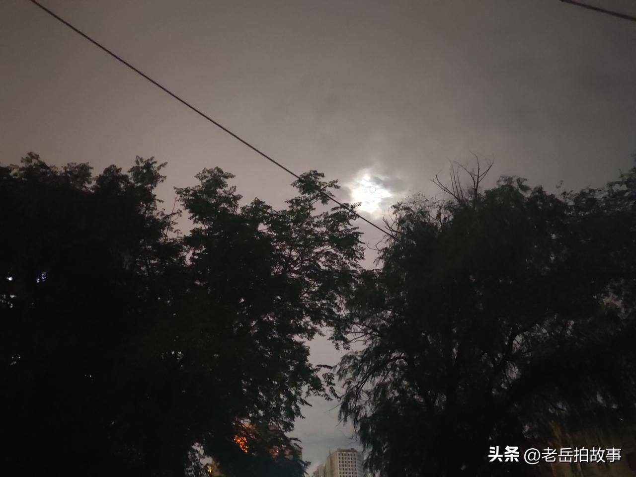 中秋夜郑州街头随手拍:天上月不明，地上月很靓！今年的中秋节因遇到连阴雨，月亮也被