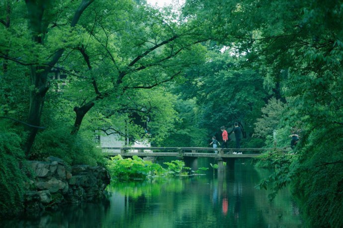 苏州·拙政园之夏，荷风四面送花香，亭台倒影入池塘，美的无法言喻。 