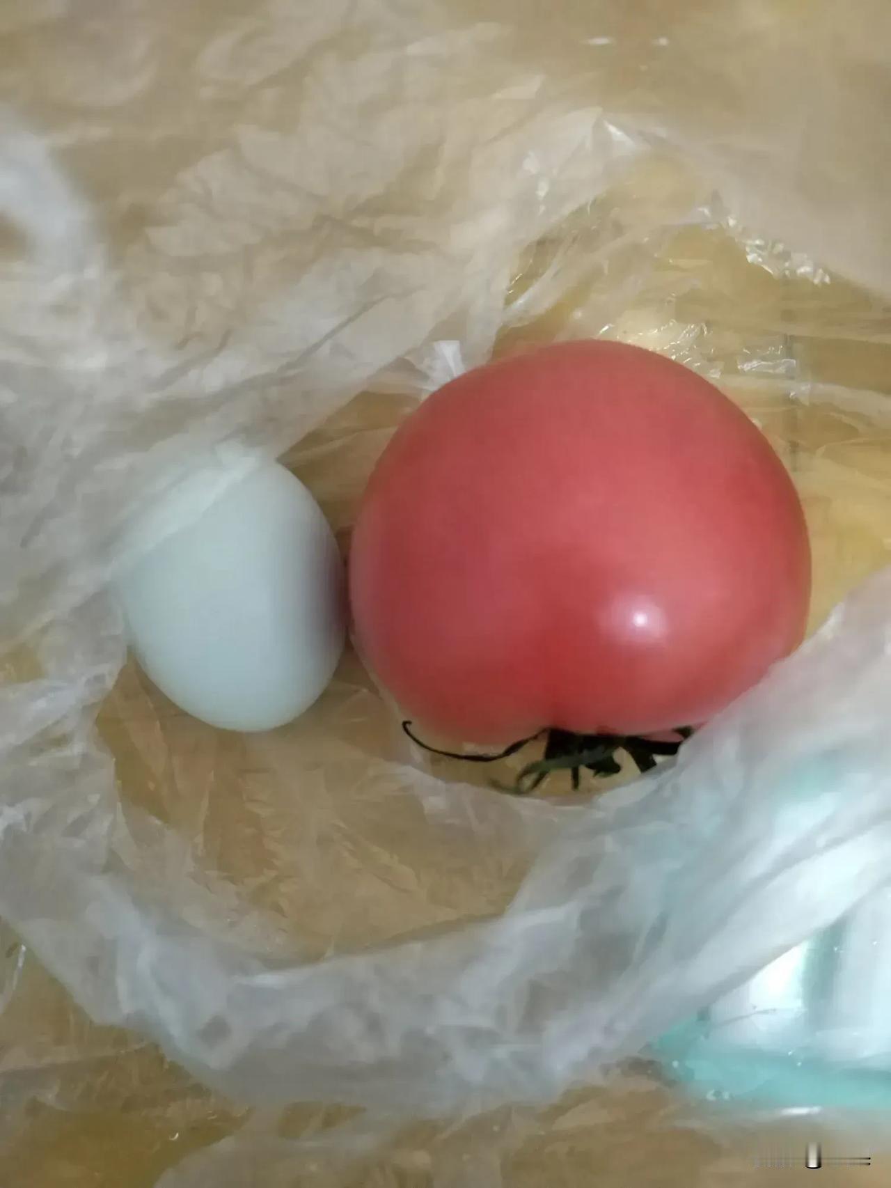 出去逛了大半天，拖着沉重的脚步刚到家，有人敲门。打开一来看，邻居姐姐来了：“我听