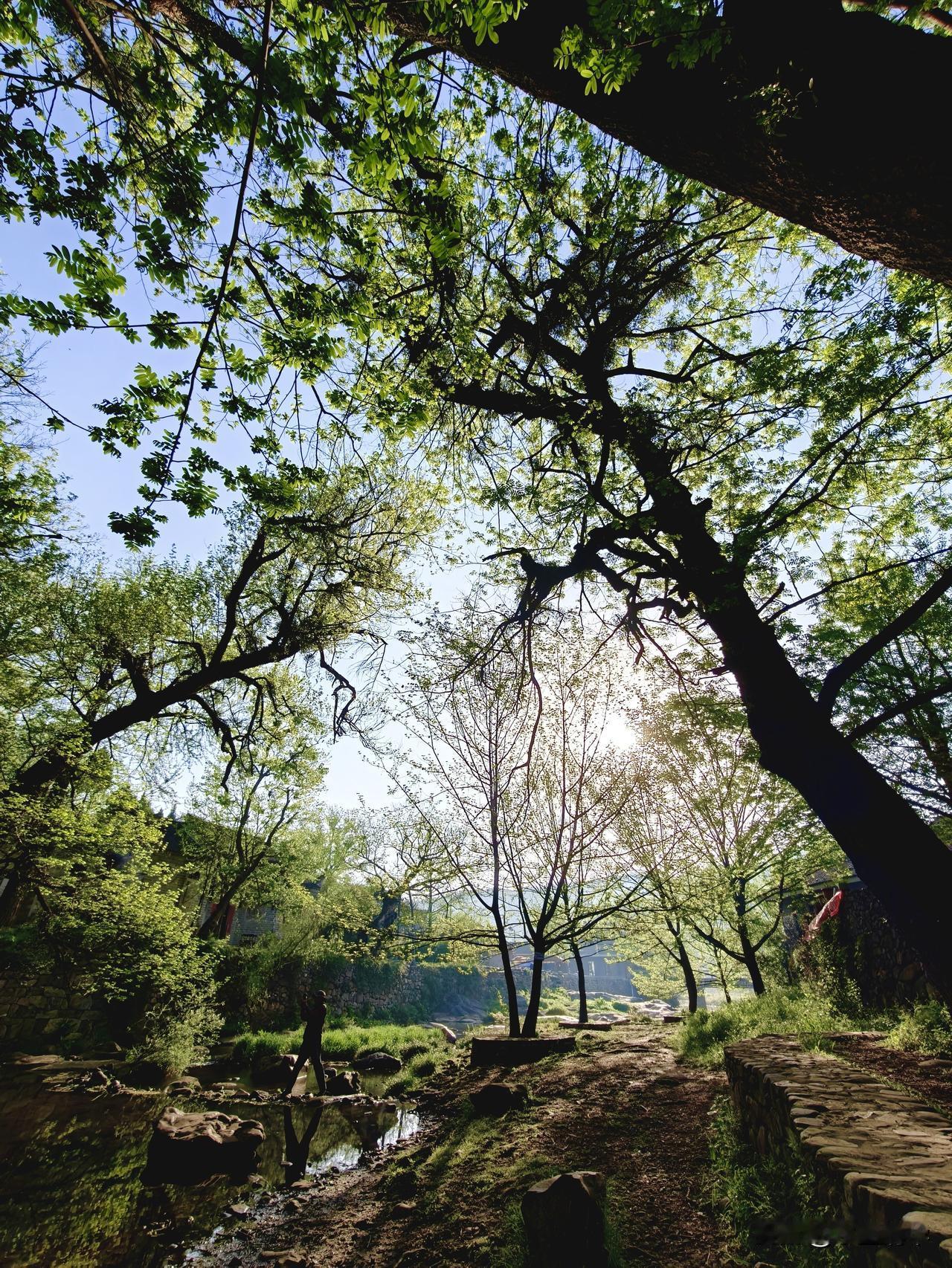 不向
      我来

我自
    向山
       走去……
我在西河湾