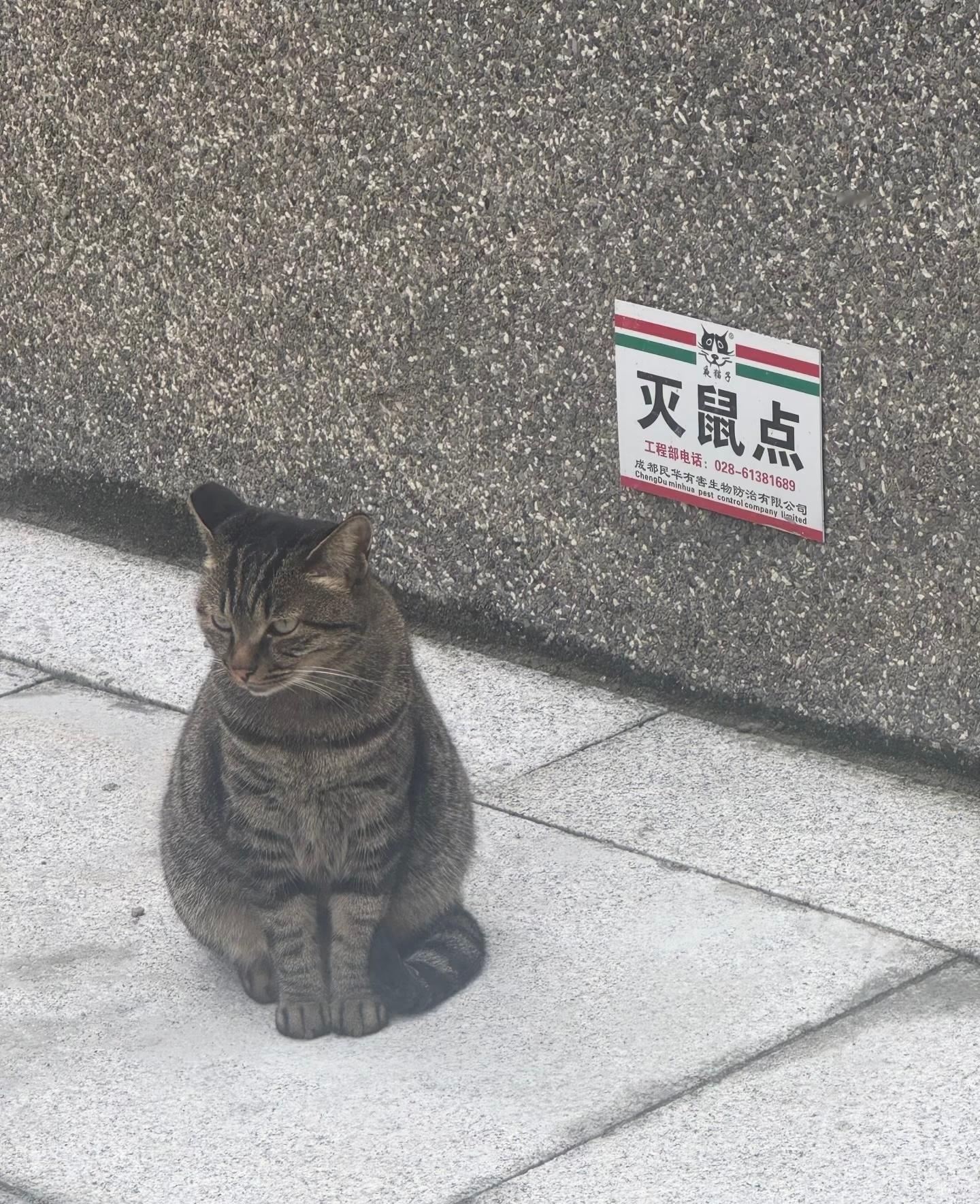 灭鼠点 ​​​