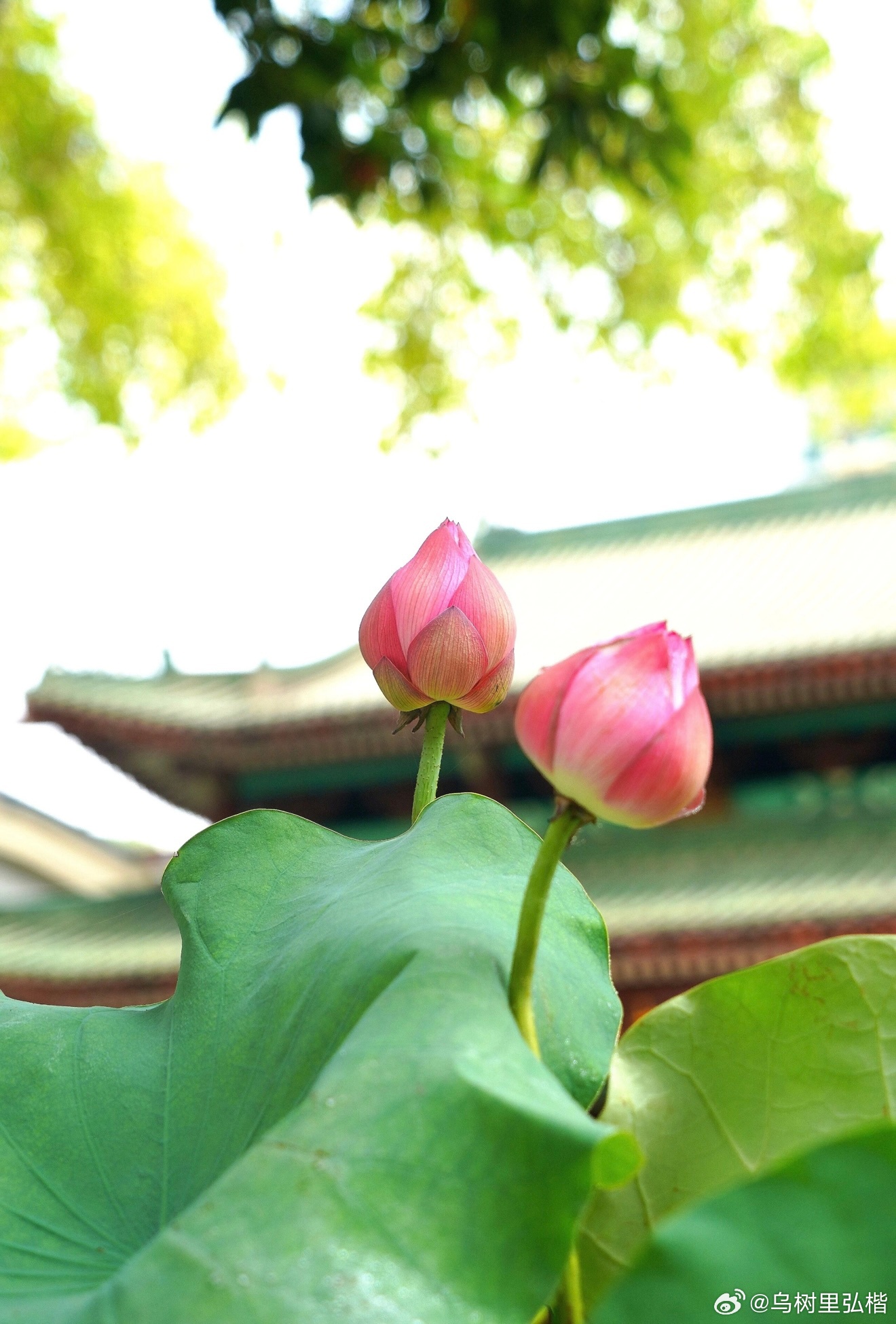 你对别人好，都不如你对别人“有用”。你对别人再好，别人也不可能对你同等回报；但是