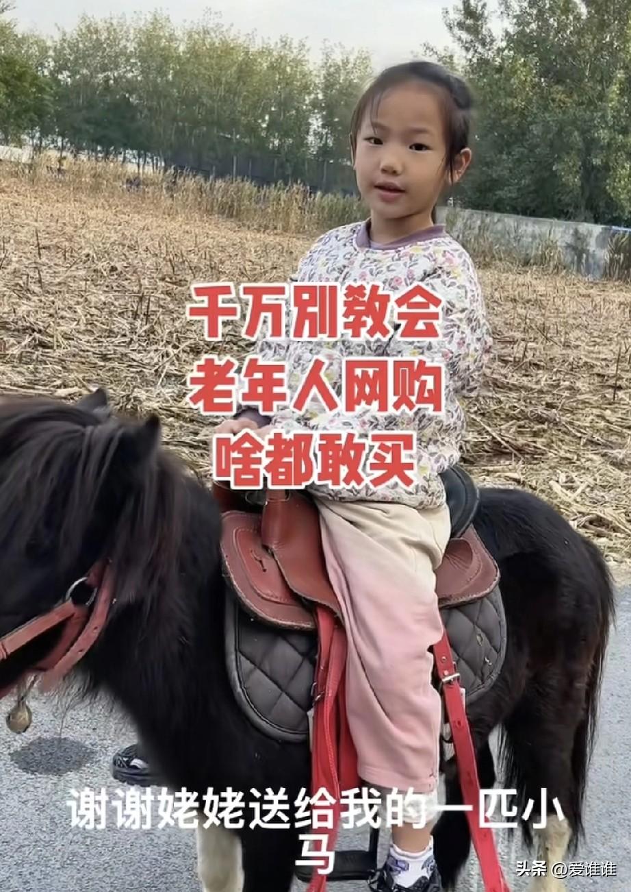 “姥姥的宠爱！”老人学会网购之后的第一件事，就是花五六万给自己的外孙女买了一匹矮