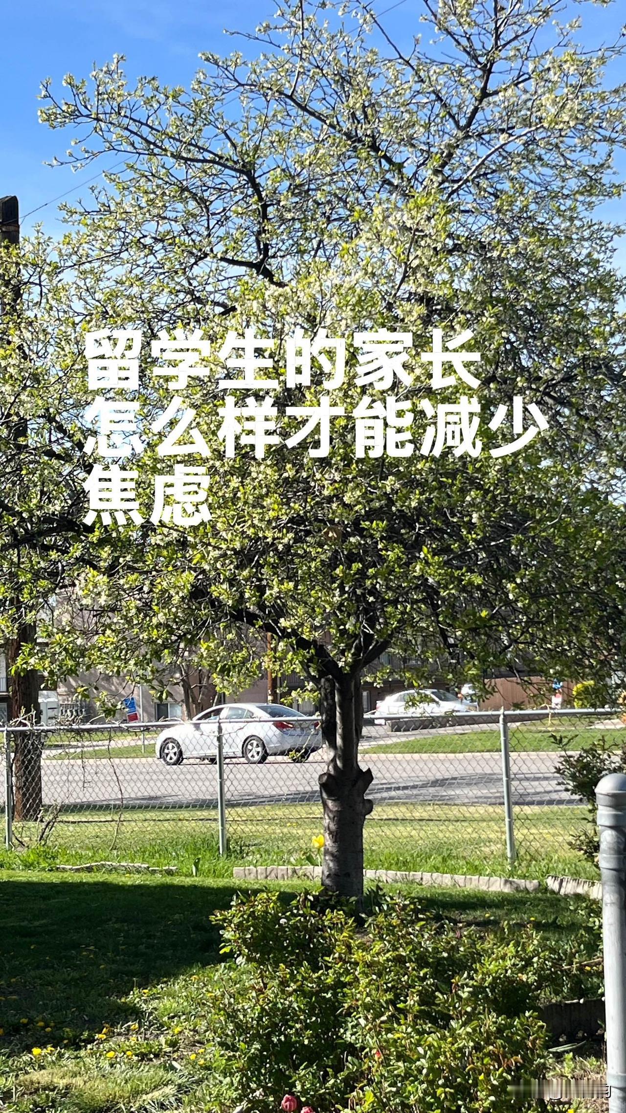 留学生的家长怎样才能减少焦虑？
孩子一出国，最焦虑的常常不是孩子，是家长。

家