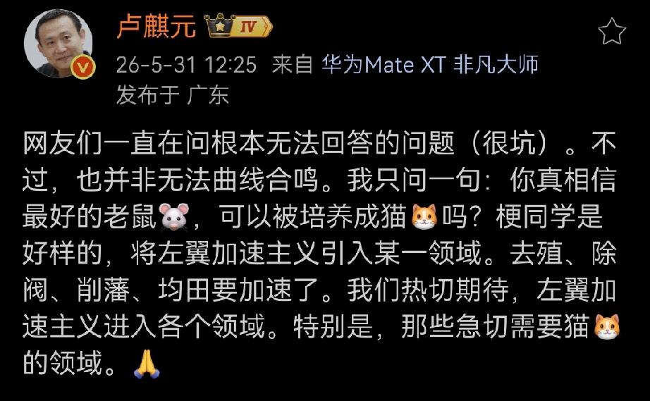 当“学术打假”遇上“左翼加速”：耿同学如何成了卢麒元口中的“猫”？

最近，知名