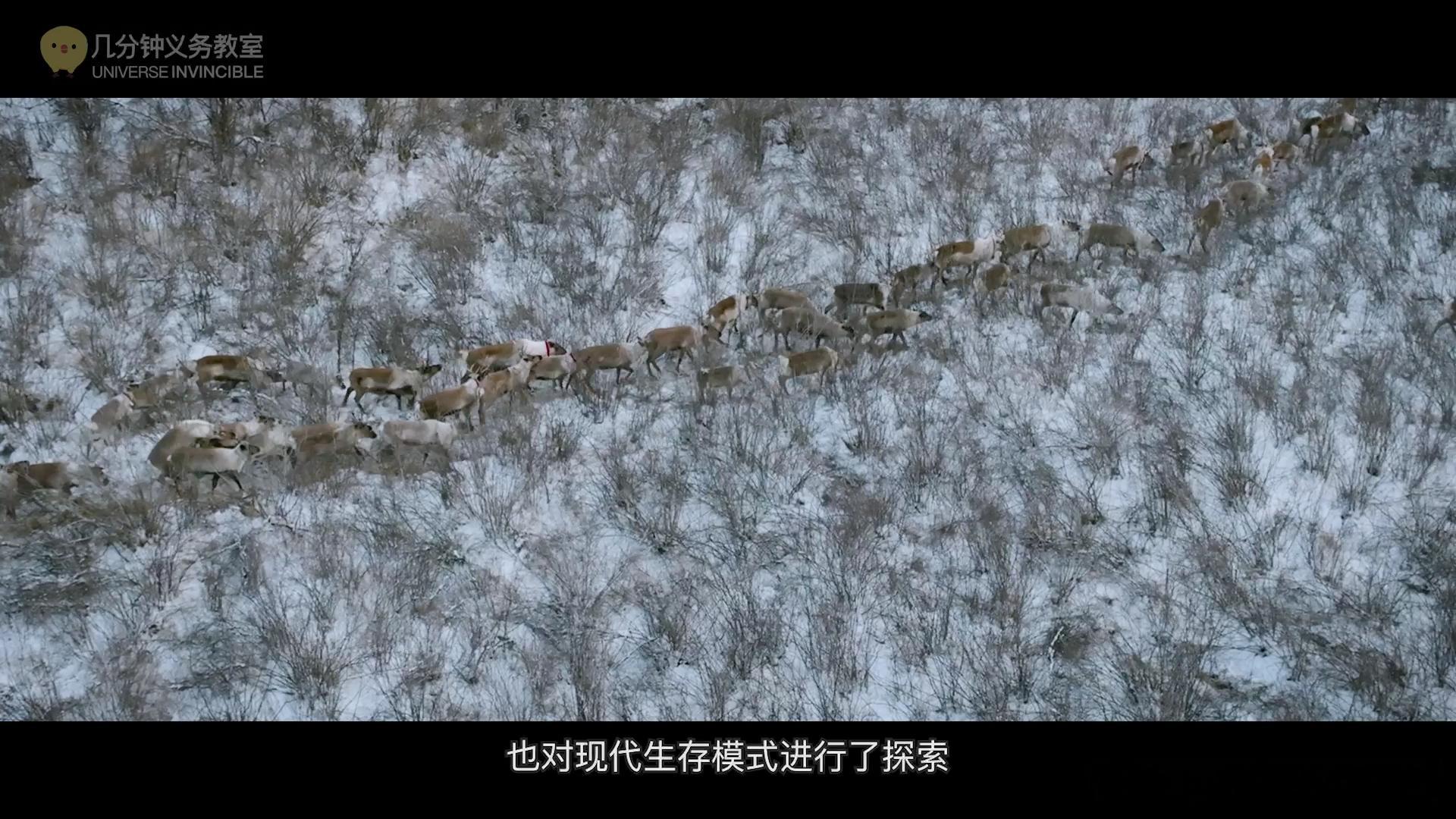 今天中午12:05更新！探秘森林 猎人 动物学家 。二次探访鄂温克，有了不一样的