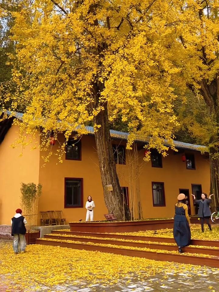 转眼之间，岁月已悄然过半，褪去了我们年少的浮躁与执着。从前总是想着追赶世界，忙着