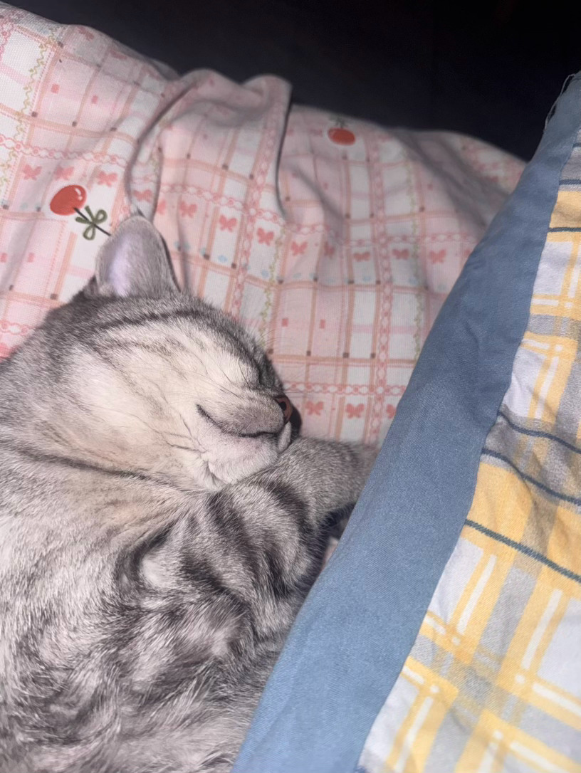 不知道梦见什么了哈哈 