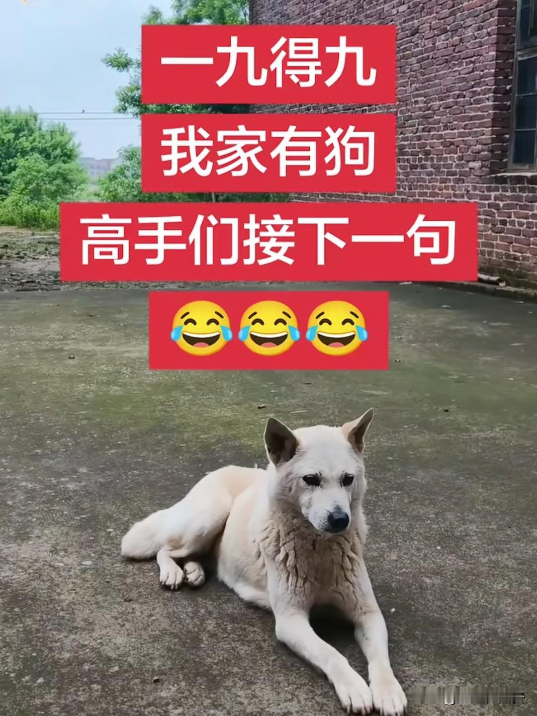 腹中没有两点墨，这个还真对不上来，不信都来试试吧：

上联：一九得九，我家有狗