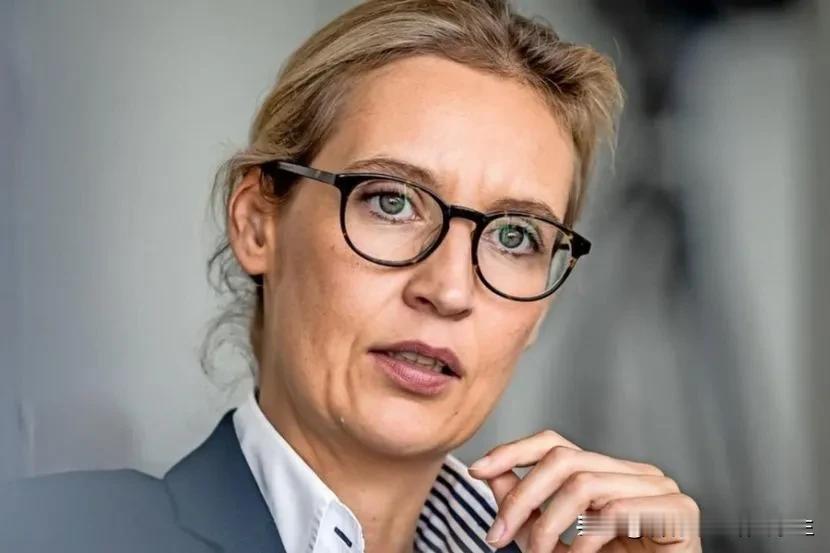 🇩🇪 德国右翼政党德国另类选择党(ADG)联合主席爱丽丝·魏德尔: