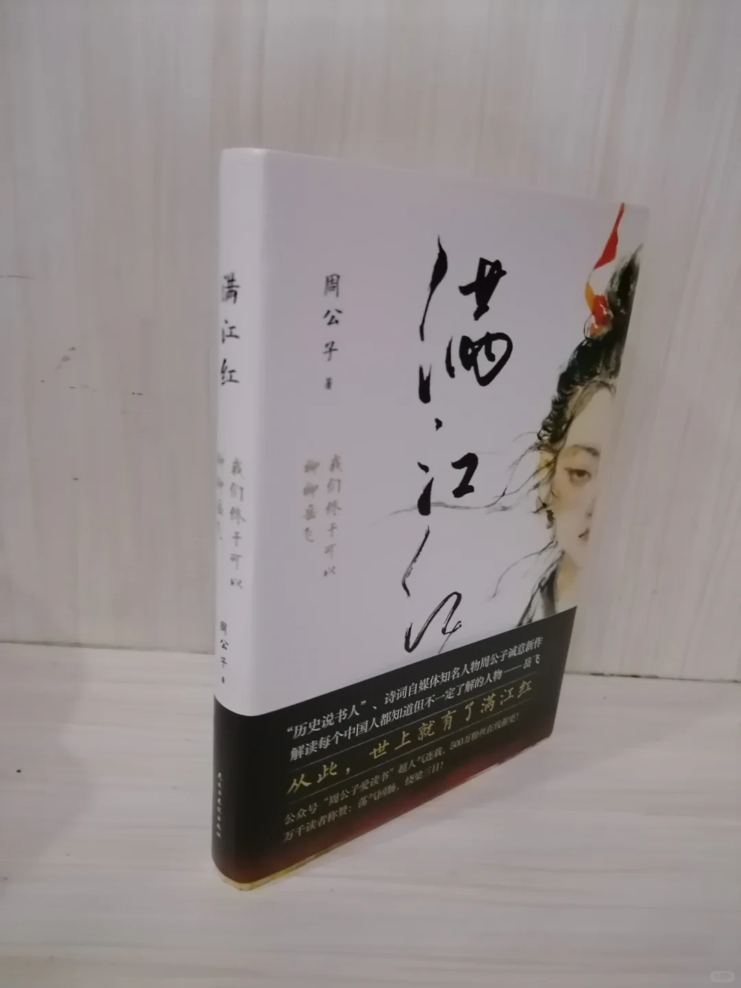 还原岳飞传奇一生的历史画卷
