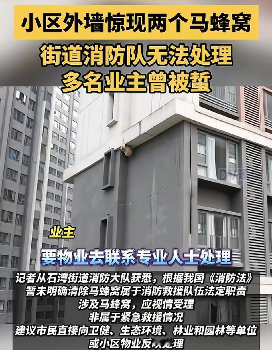 佛山一小区内楼栋的外墙，惊现两个大的马蜂窝，很多业主是从去年9月份开始，他们在屋