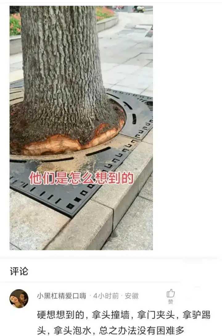 他们说装这个是为树好，树不配合就削它。这样有影响吗[捂脸]