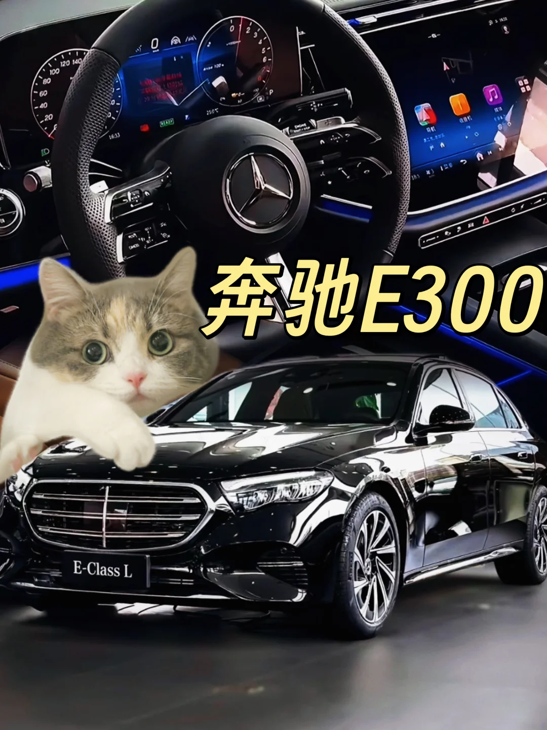 公主殿下，请上E300！❤️