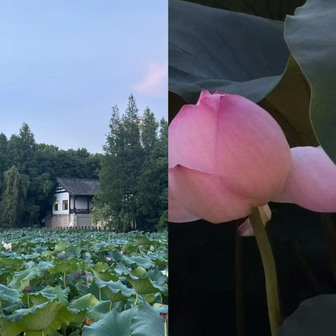 8月好运连连