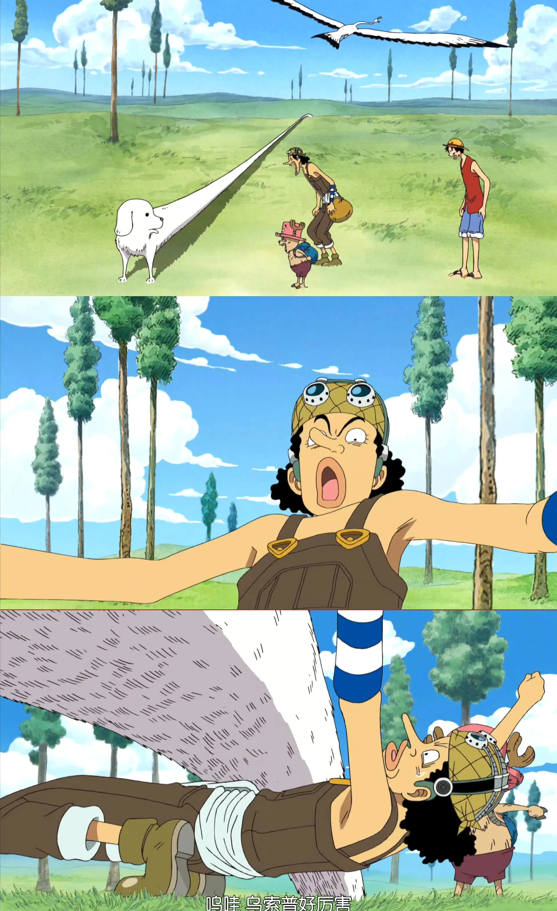 路飞坑人 从不挑时候。