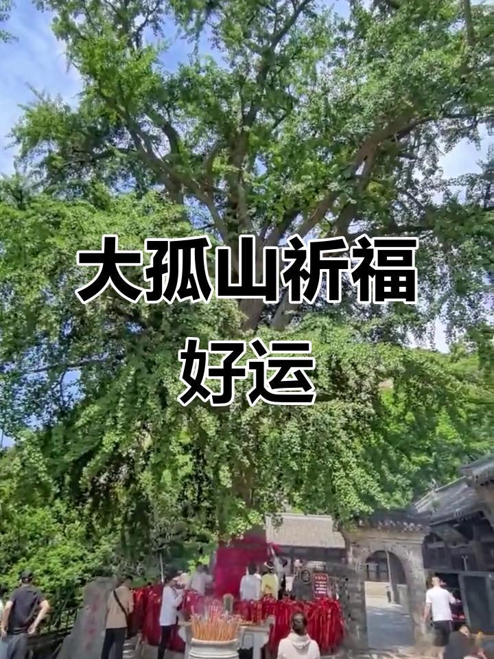 刚送孩子进考场的家长，这会儿应该最懂“大孤山福运”五个字的分量。人站在校门外，心