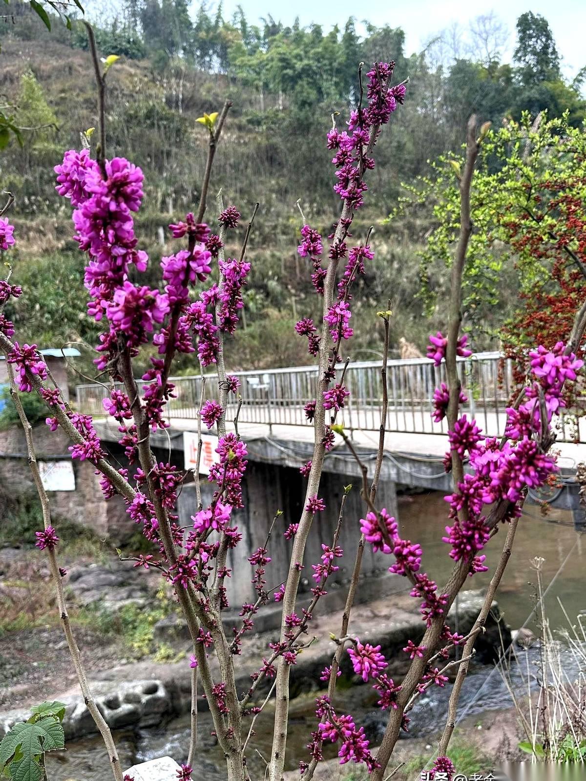 “穷，不是缺点？屁！”这话像钢钉一样，直愣愣砸进耳朵。屏幕对面，那人眼神比刀还快