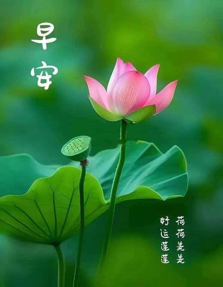 早餐打卡 今日早餐！ 