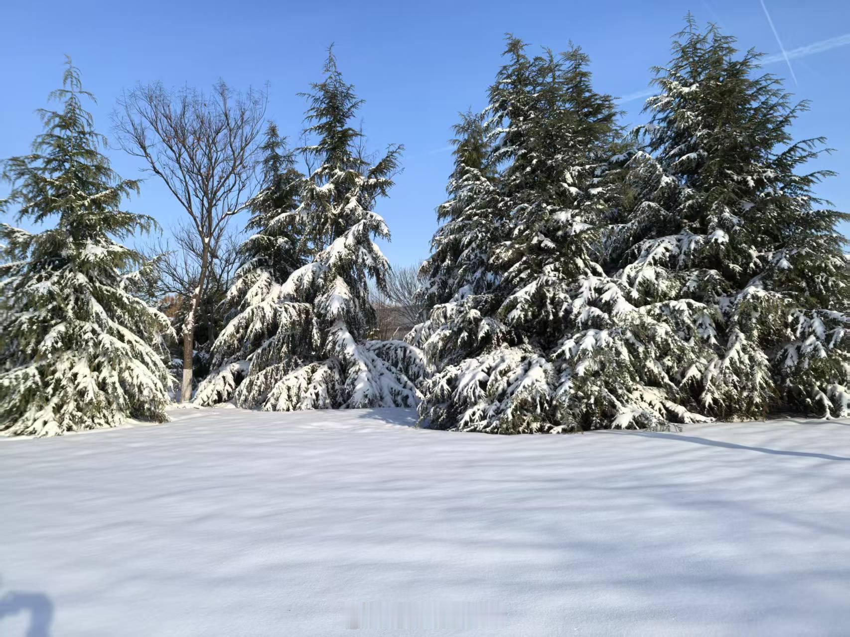 济南  的大暴雪有多大？发张照片你们感受下[允悲] 