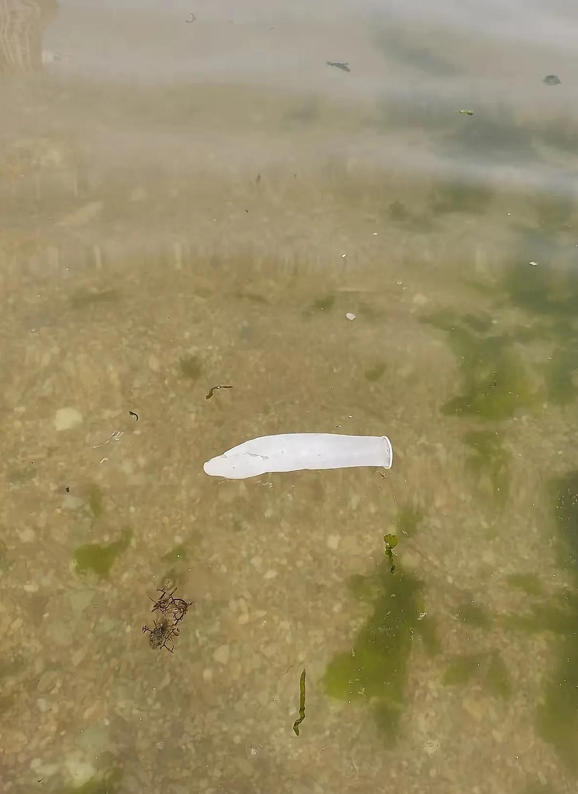 在河边发现的，现在的鱼鳔都这么大了？

旁边的的闺蜜捂着嘴笑：“现在生活条件好了