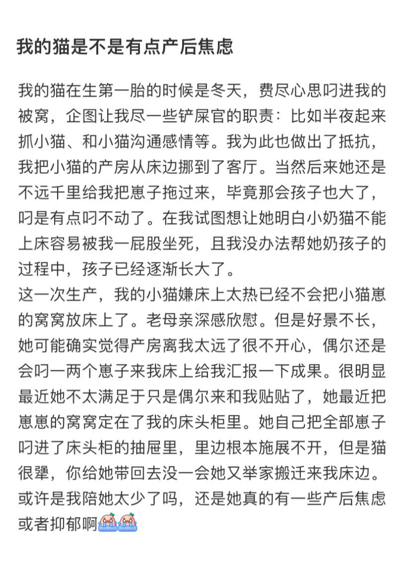 小猫也会有产后焦虑吗 ​​​