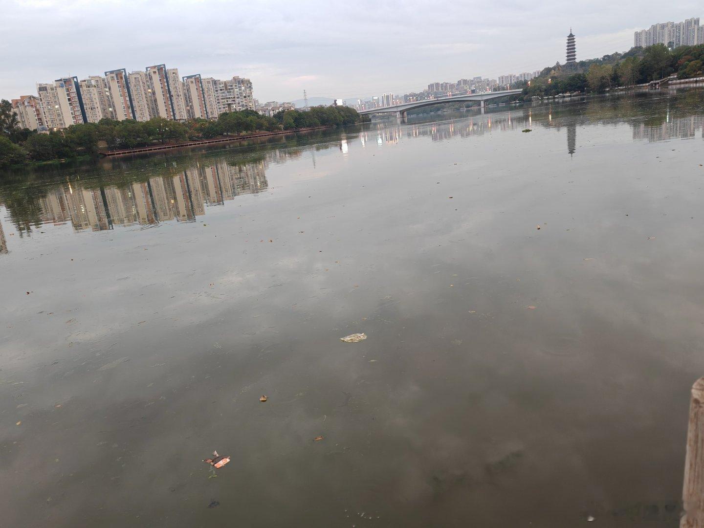 太久没下雨，水流太慢，留下的脏东西太多了，这是我见过最脏的章江水面。人不运动，脏