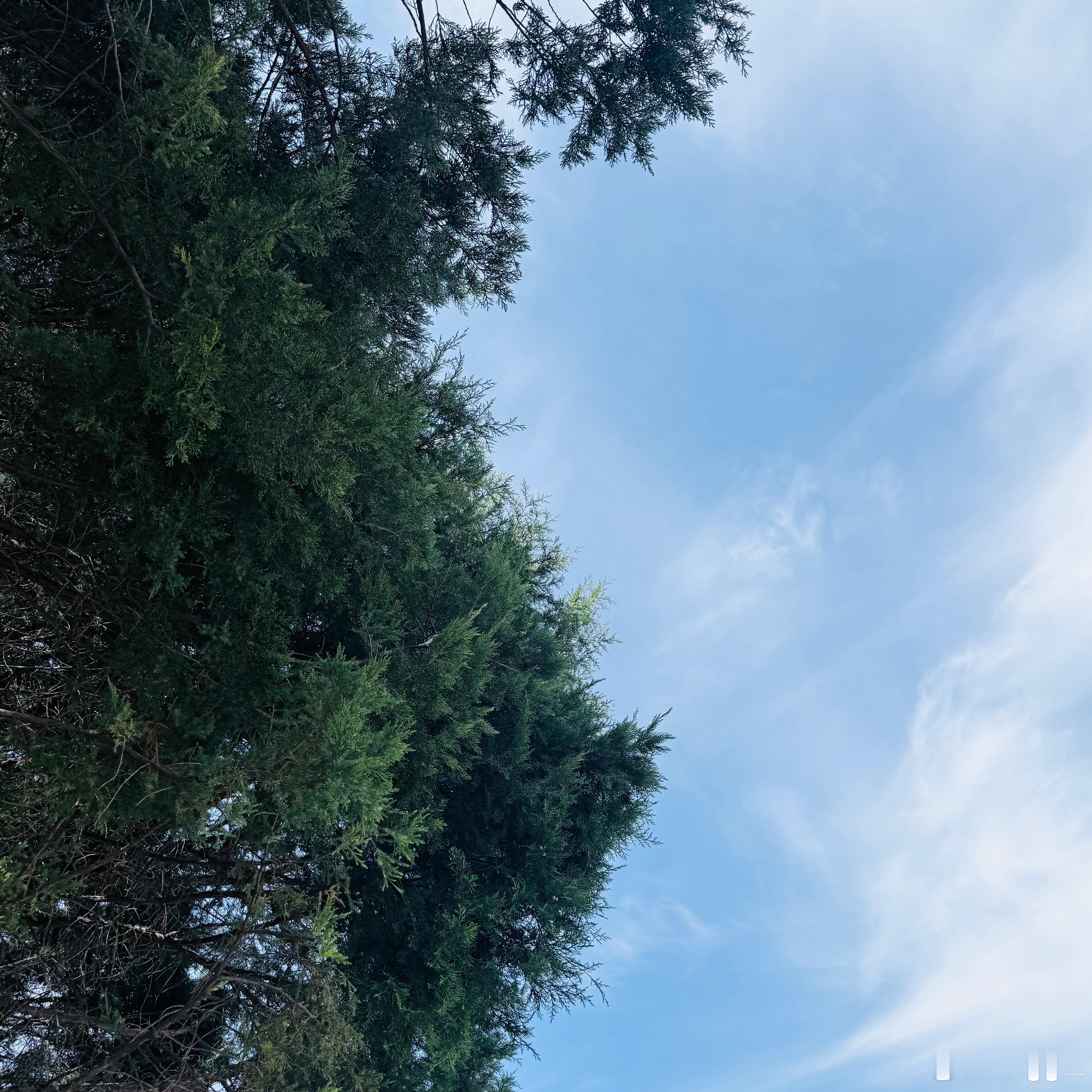 喔～好漂亮的天 ​​​