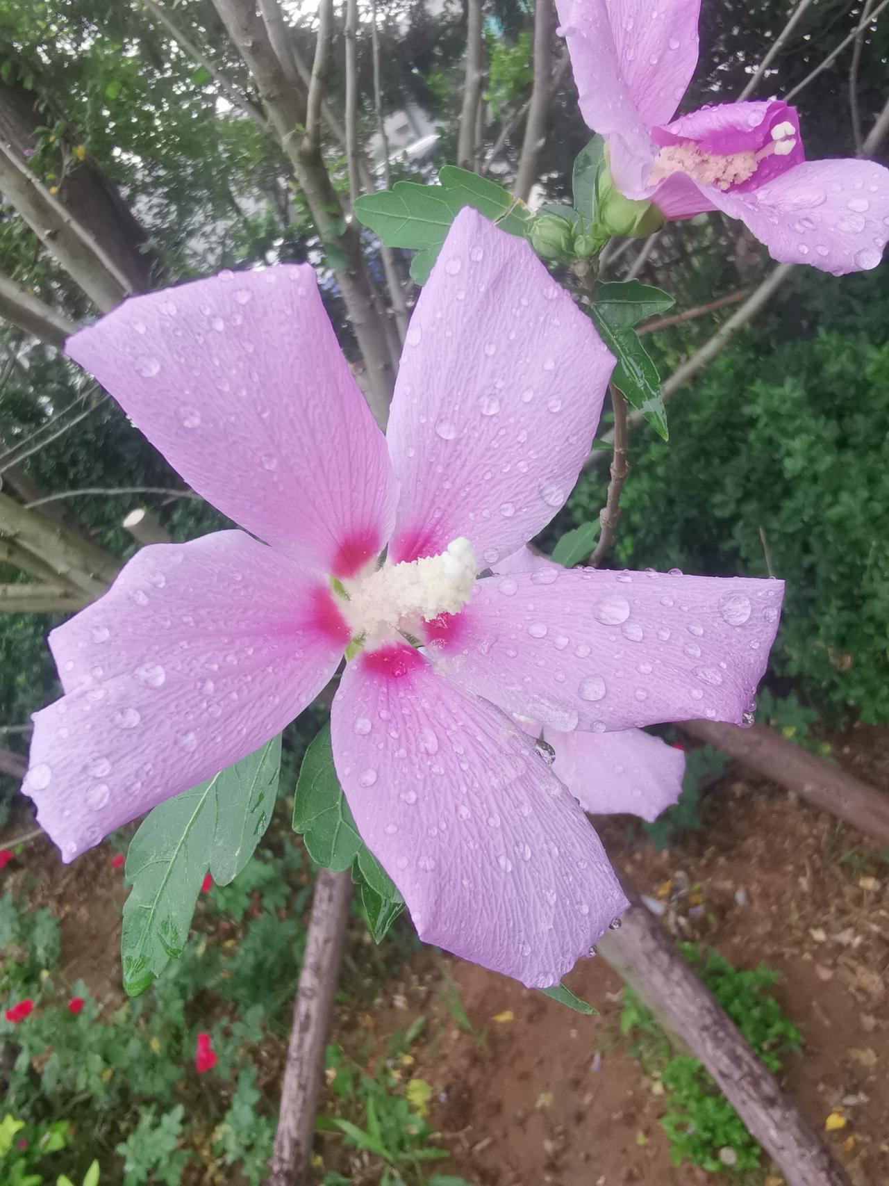 我认为可以要。就和合伙做生意一样，合作失败必然要清算资产，然后各回各家各找各妈！