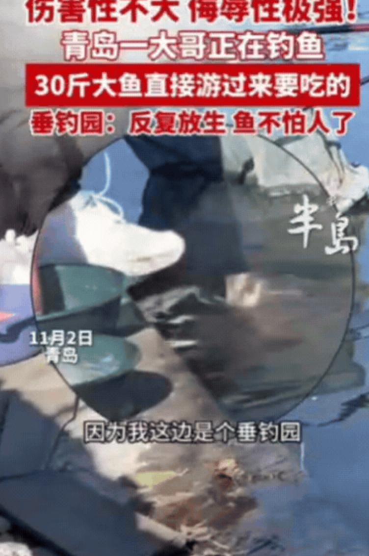 伤害性不大，侮辱性极强！青岛一大哥正在钓鱼，结果，30斤大鱼直接游到他面前，嘴巴