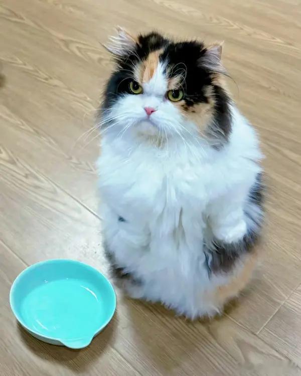 医院回应最快女护士张水华被处分会闹的孩子终于被解决了 