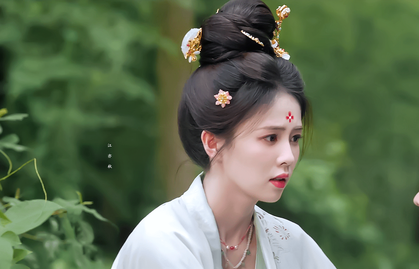 鹿茸gct测试 回来 