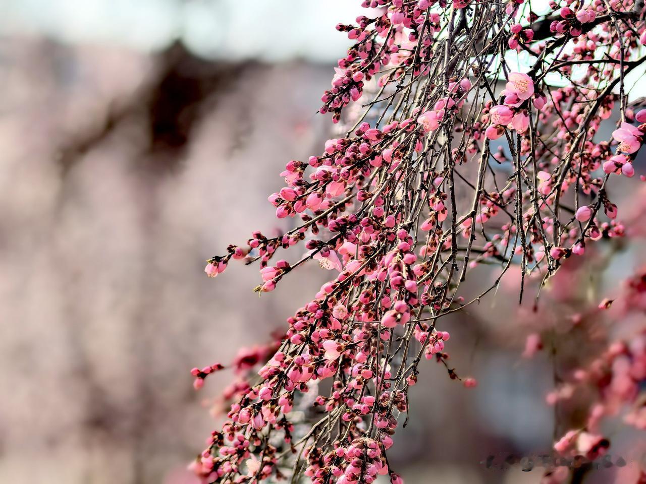 长期坚持运动的人可以带来两大好处：一是寿命长、二是死得快。保持健康的生活习惯和运