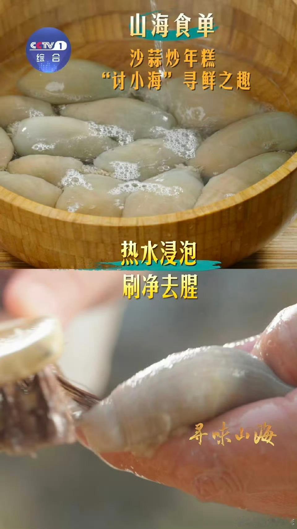 沙蒜不是蒜是海鲜 涨知识了！原来沙蒜根本不是蒜，而是台州特有的肥美海鲜！长相朴实