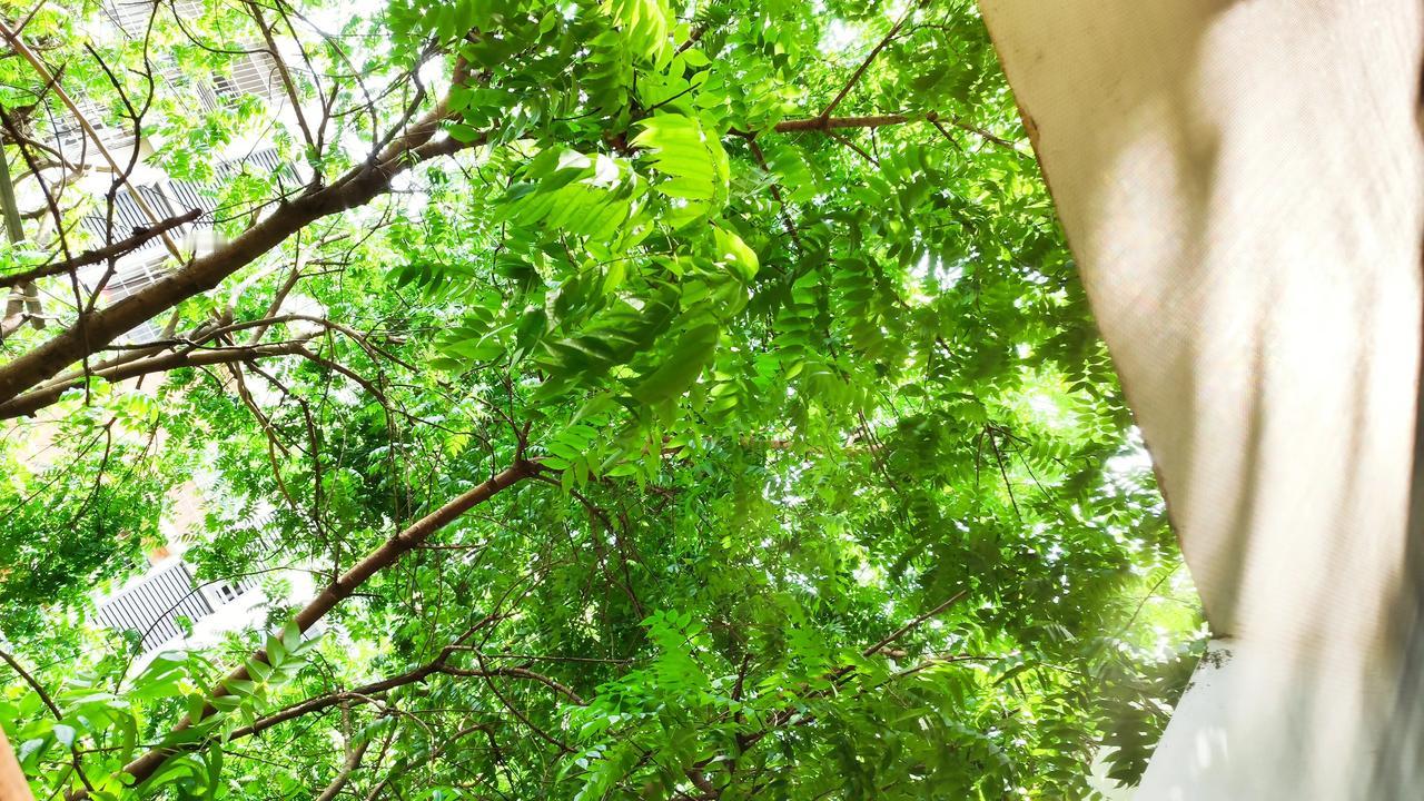 今年春天最想实现的心愿过好自己的每一天就好！分享你随手拍得风景