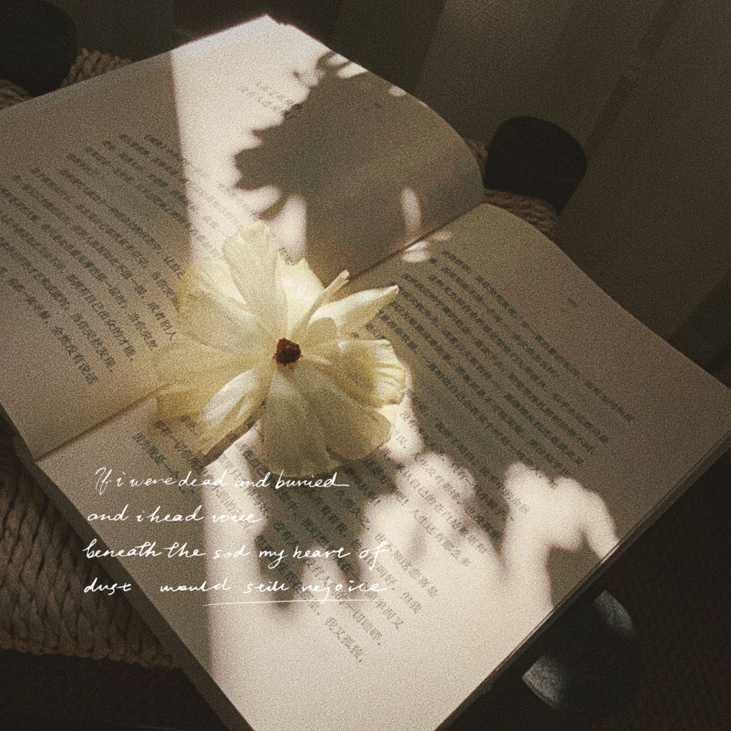 𝚆𝚘𝚛𝚔📚“书要向后翻 人要向前看 ” 