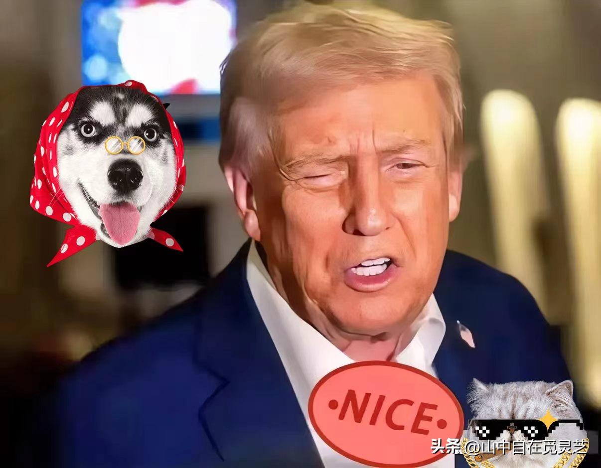 特朗普公然触碰中国的底线？
3月13日，特朗普已经准备好向中国台湾地区大规模出售