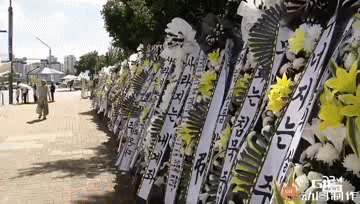 8月1日，韩国民众用花圈抗议股市暴跌——散户投资者因股市暴跌亏损惨重，在国会大楼