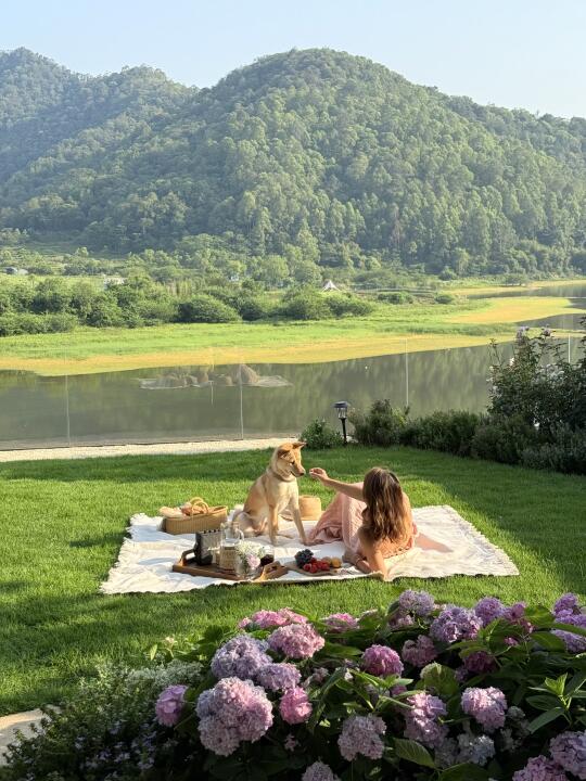 好想就这样一直宅在家🏕️