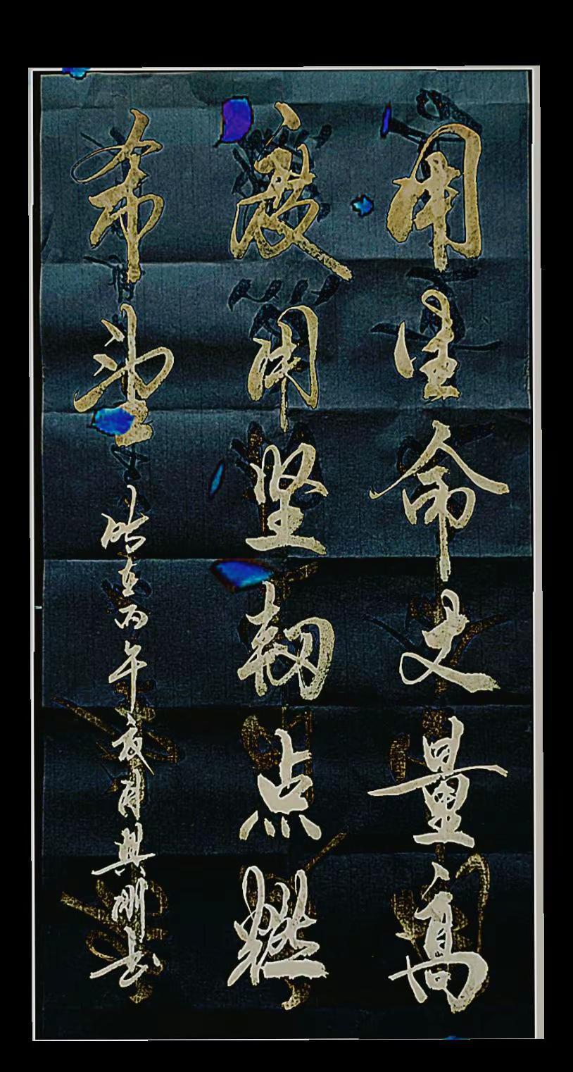 致敬陈州:  用生命丈量高度，用坚韧点燃希望！