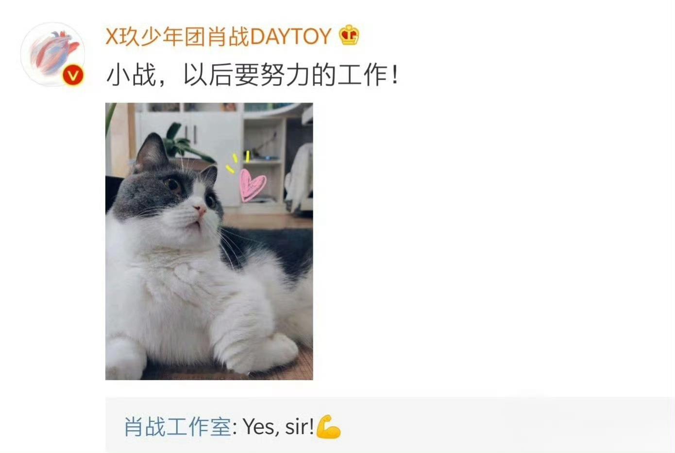 肖战工作室也这么有仪式感肖战工作室的仪式感完全随肖战了七年前的今天肖战工作室成立
