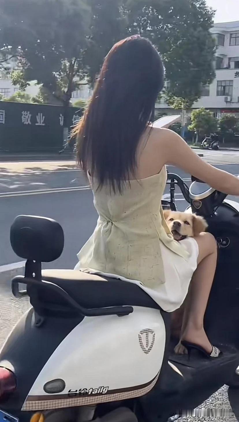 愿你早日找到那个，能和你一起骑摩托车的人