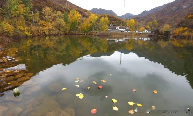 看到“沧海秋山千里幽”求上联，我觉得“小窗竹影一壶酒”就对得超妙。这对联特别有东