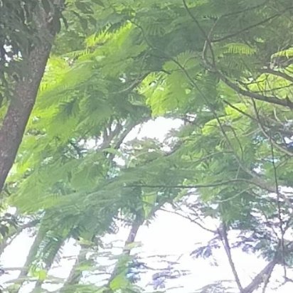 只有勇敢开始，才能知道自己的潜力到底有多大;只有不断坚持，才可能在路途中有所收获