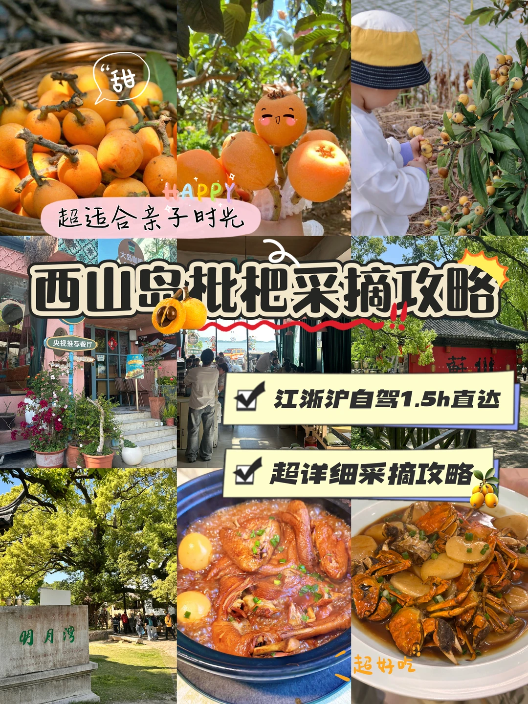 苏州枇杷季🤩西山岛枇杷采摘超详细攻略来咯