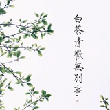 枫热聊体育