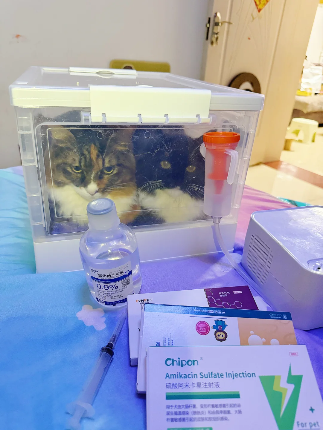 有一说一，拜卡真的是我养猫路上的好帮手